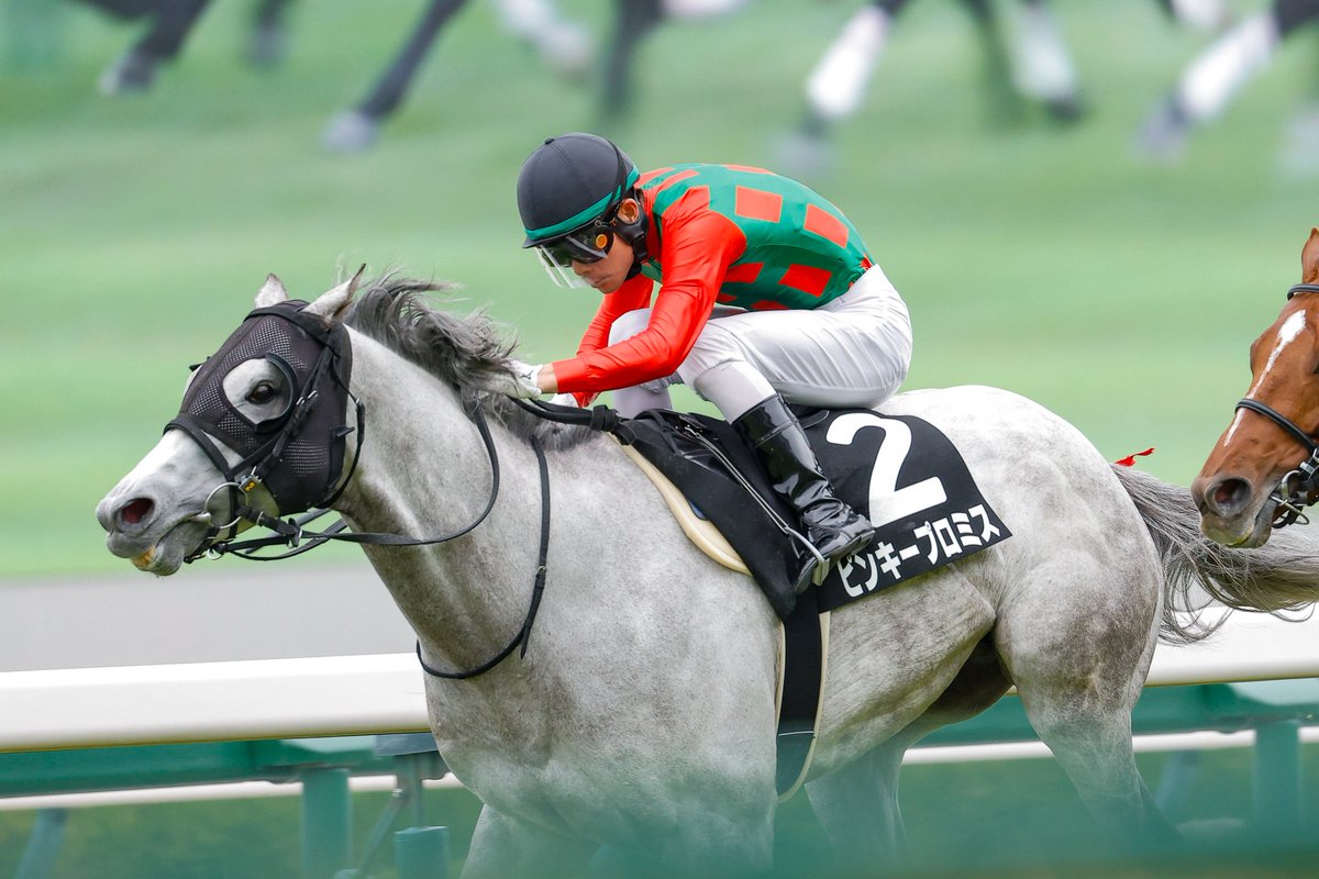 なしのき tweet media