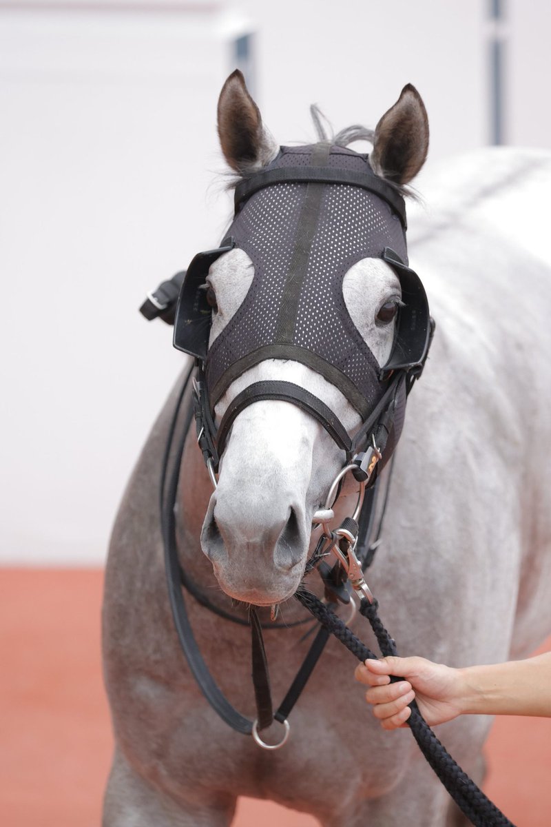 なしのき tweet media