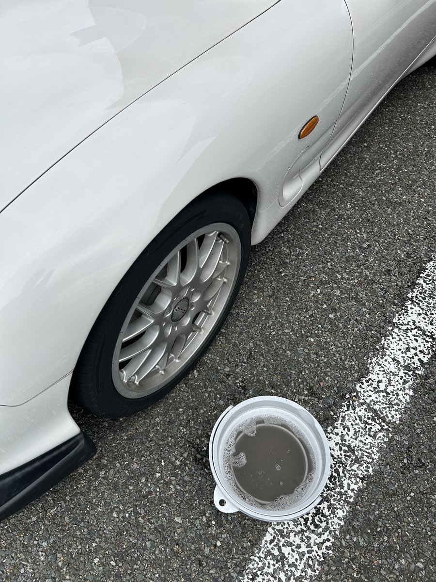 あまりに汚れてたから軽く水拭きしたら、バケツの中にドブが生成されて草
黄砂はカスです