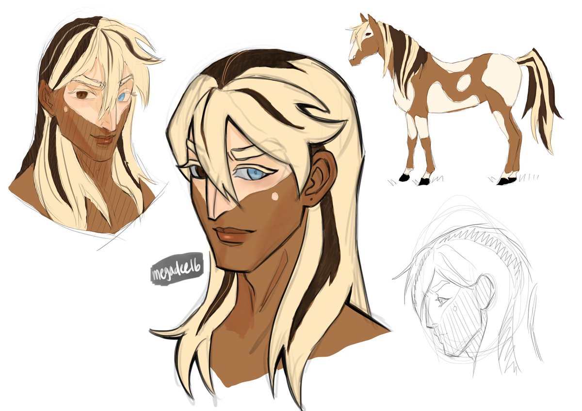 D_16TF's tweet photo. My #OC Piebald || my art https://t.co/B88fK700Zd