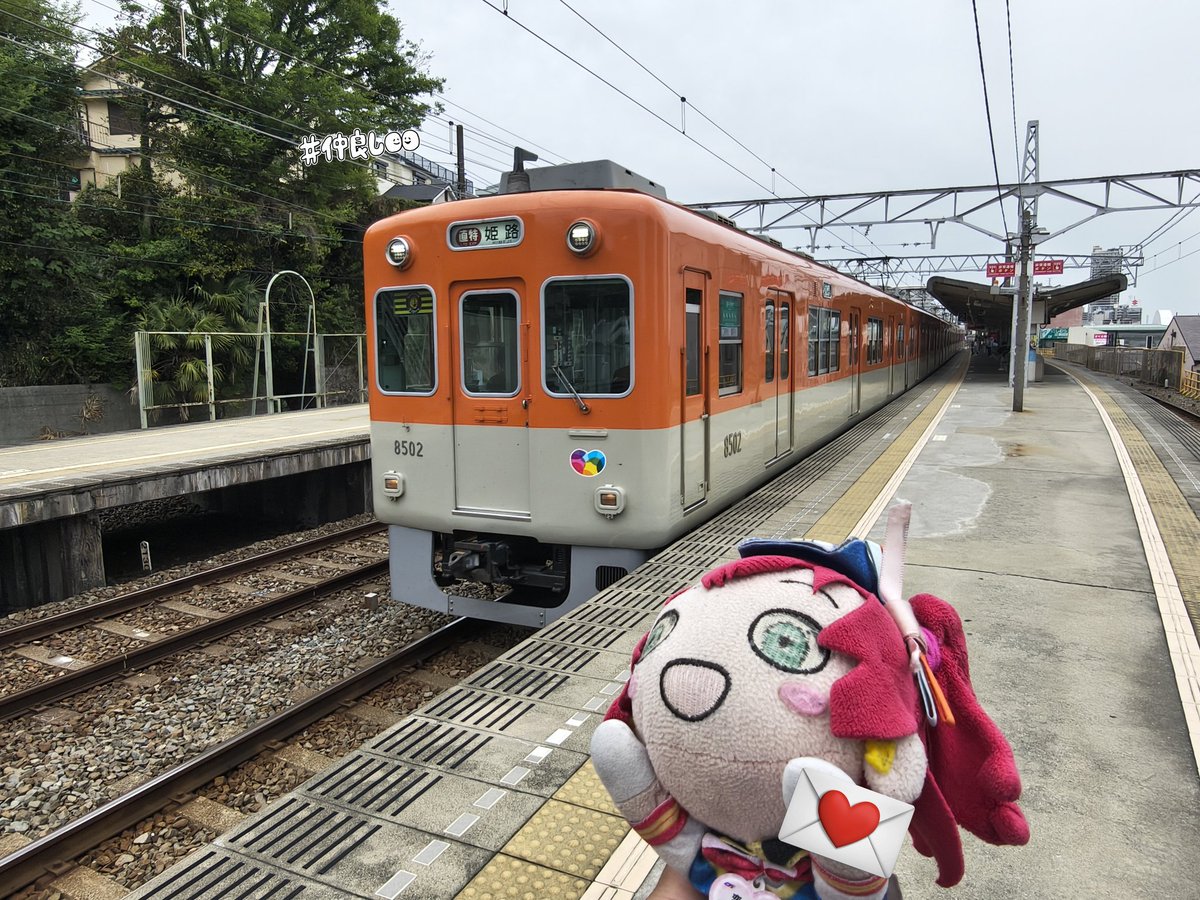 阪神8502