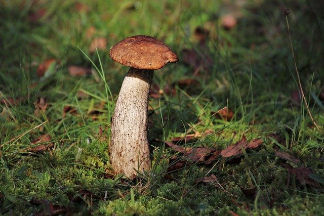 Mark Anderson tweet media