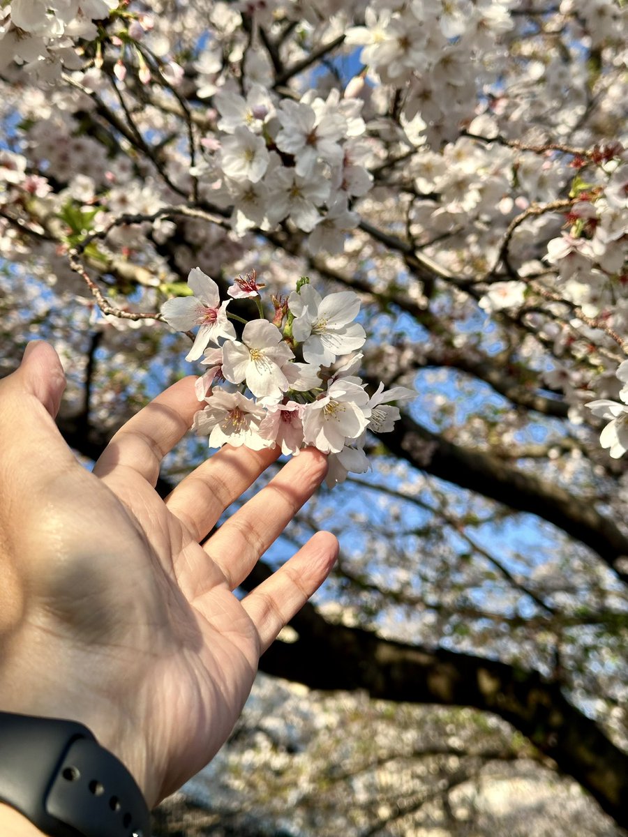 Guit(heart)ist tweet media