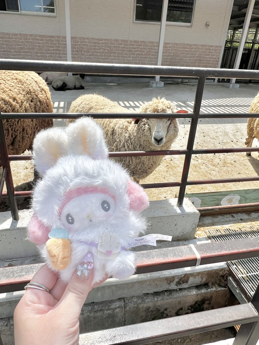 すみれ tweet media