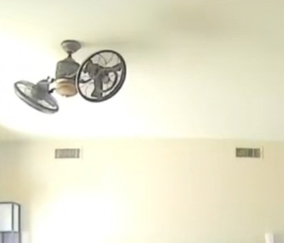 Ri 🍉🕊 tweet media