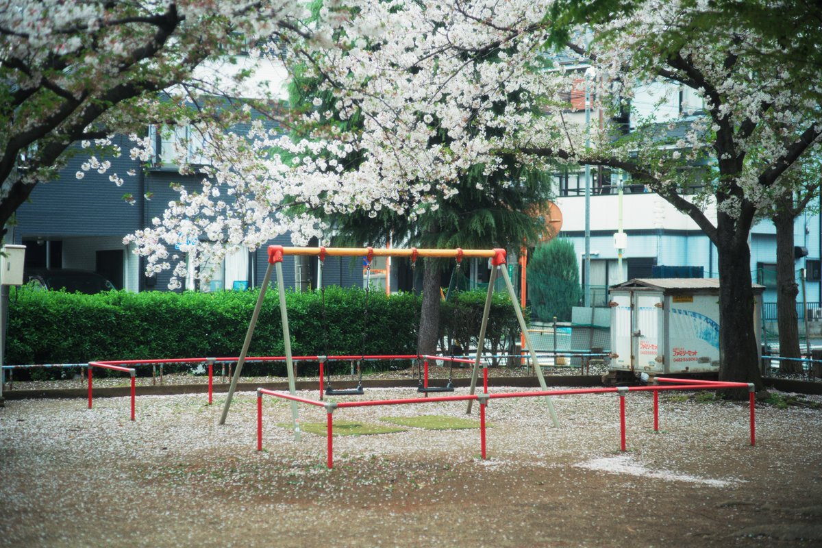 タケル tweet media