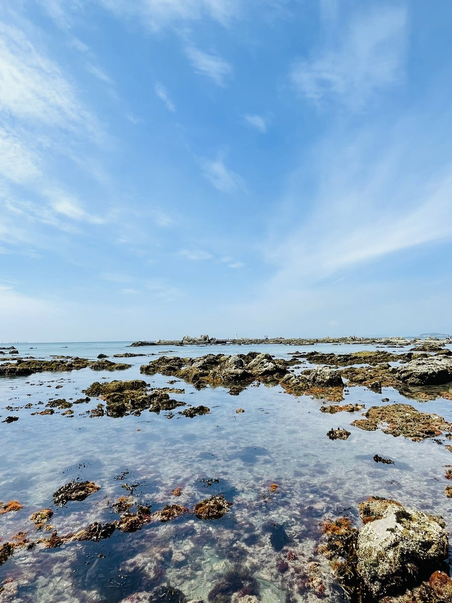 うみふじぃ tweet media