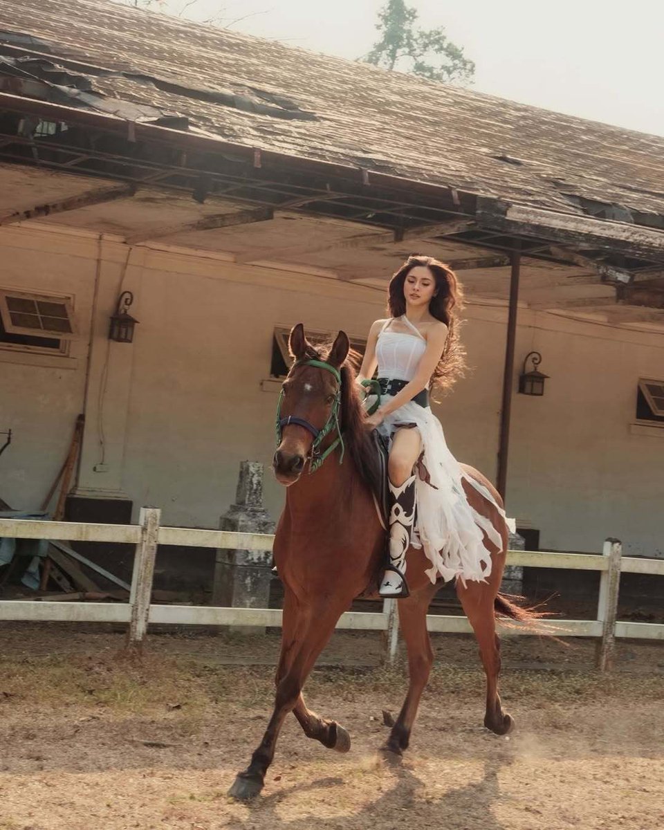 Pilipino Star Ngayon Digital tweet media