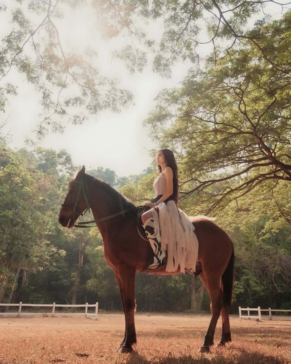 Pilipino Star Ngayon Digital tweet media