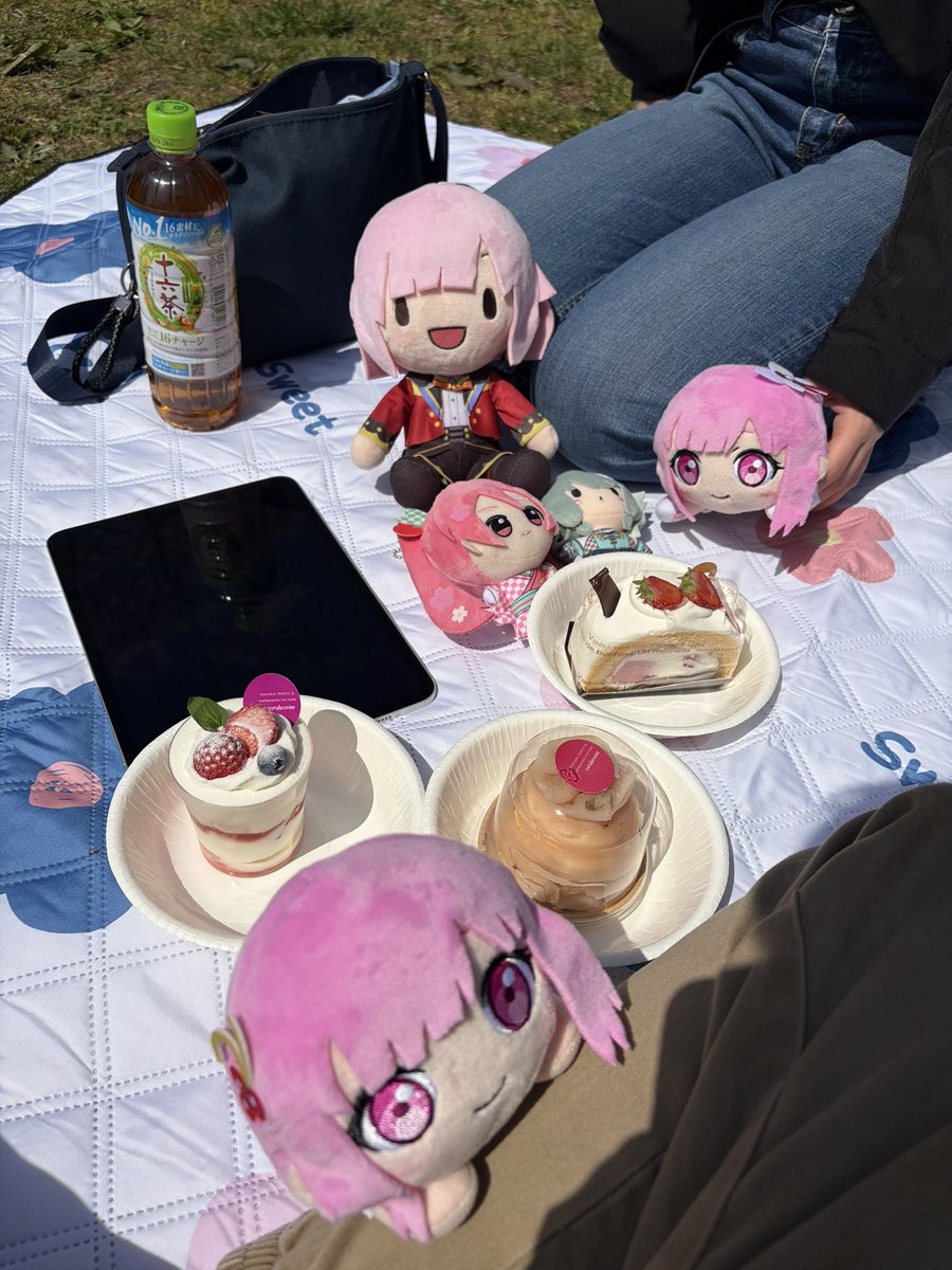 わんだほーいなめんま@東大院生社長 tweet media