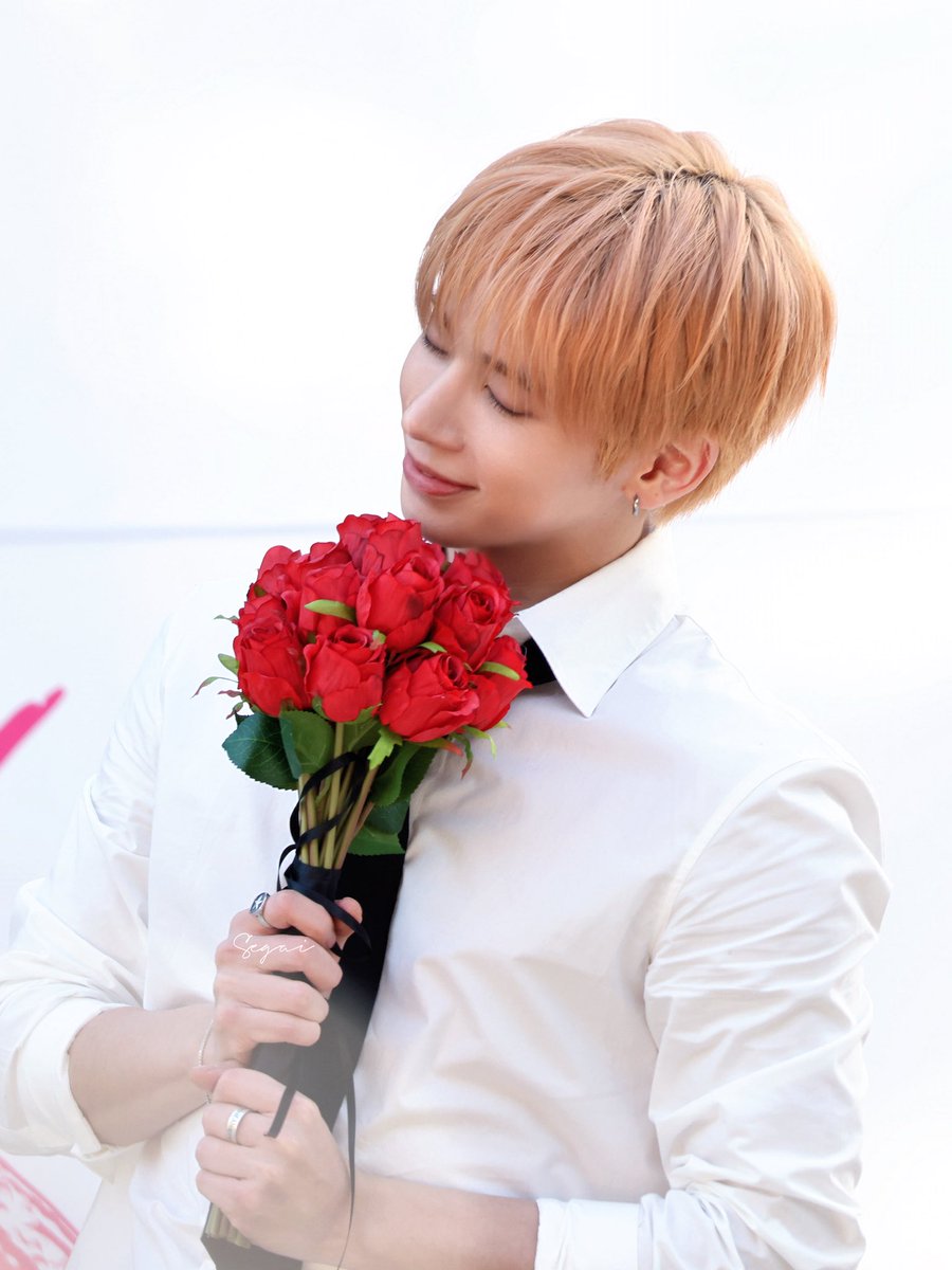 segaisegai tweet media