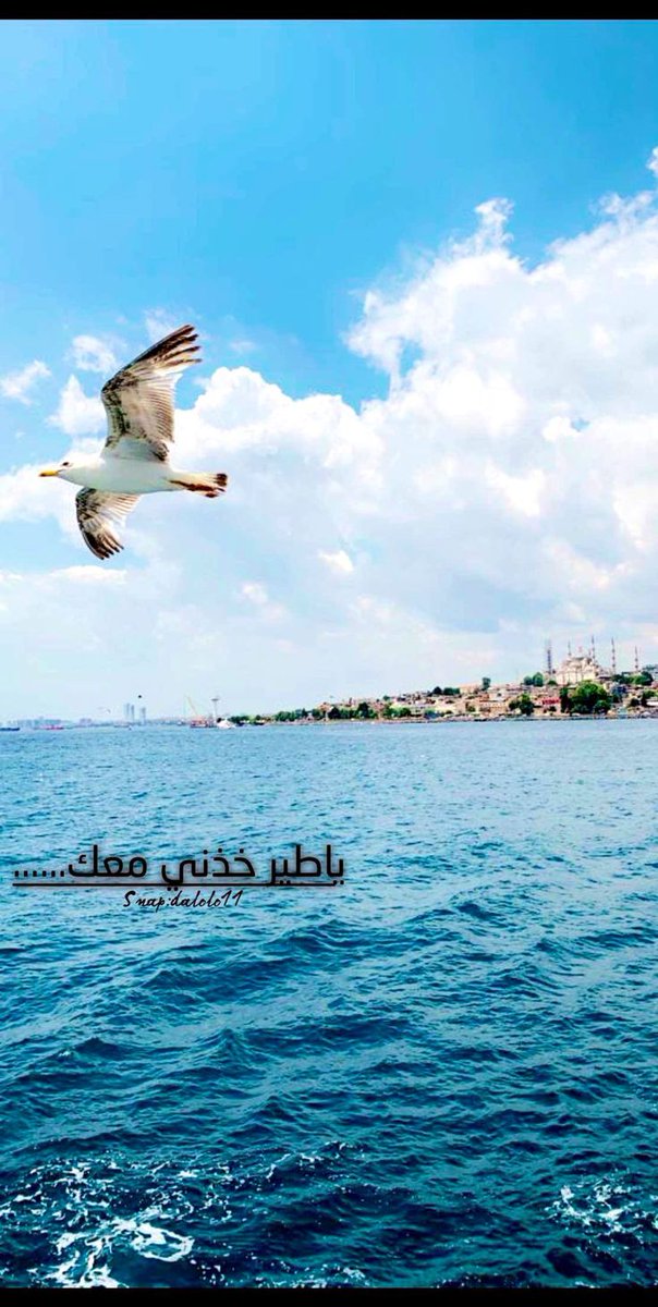 🦋Ma𓃴ys🦋 tweet media