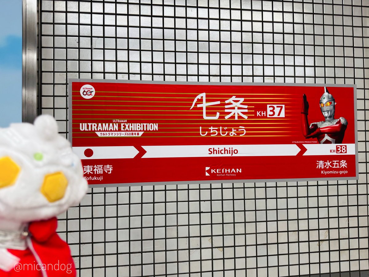 みかんいぬ tweet media