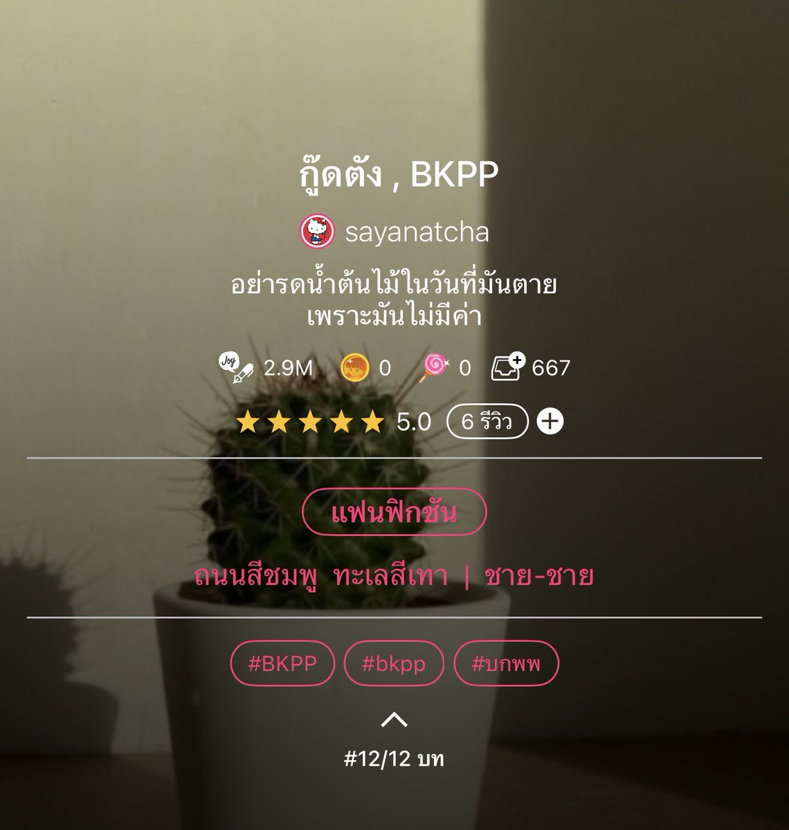 Natchaaa.pp tweet media