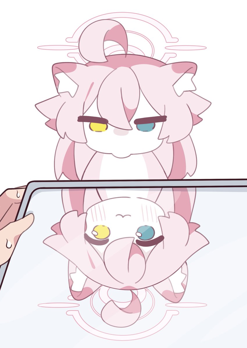라떼쨩 ラテちゃん tweet media