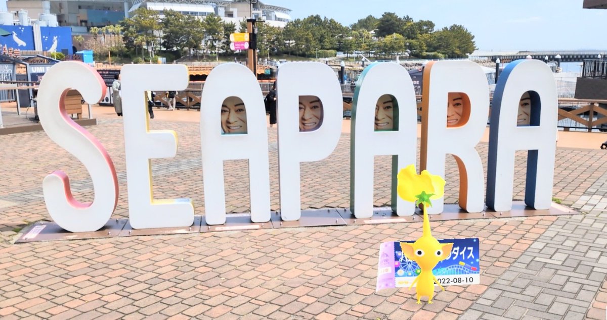 かすみん tweet media