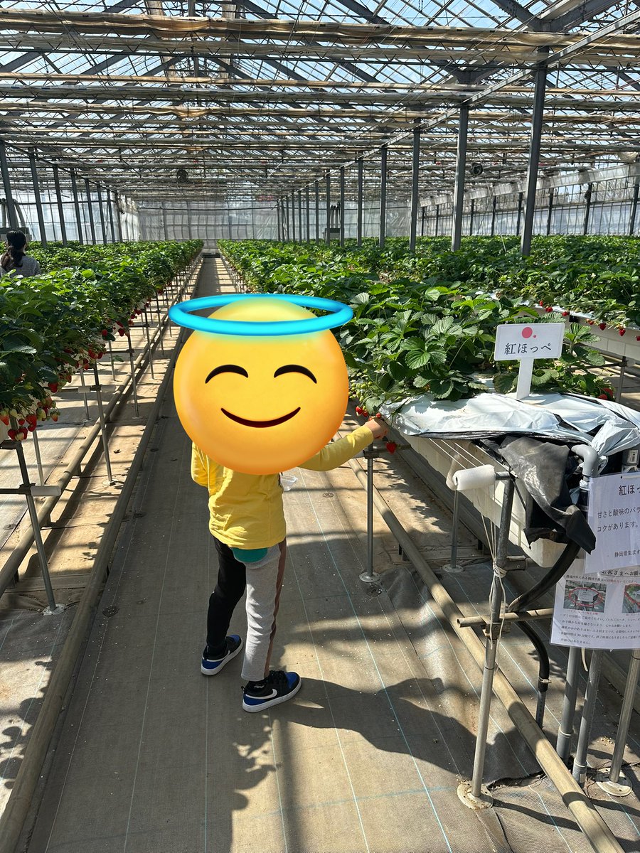 シングルパパ　あきひろと tweet media