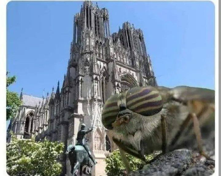 Batriaud Martine tweet media