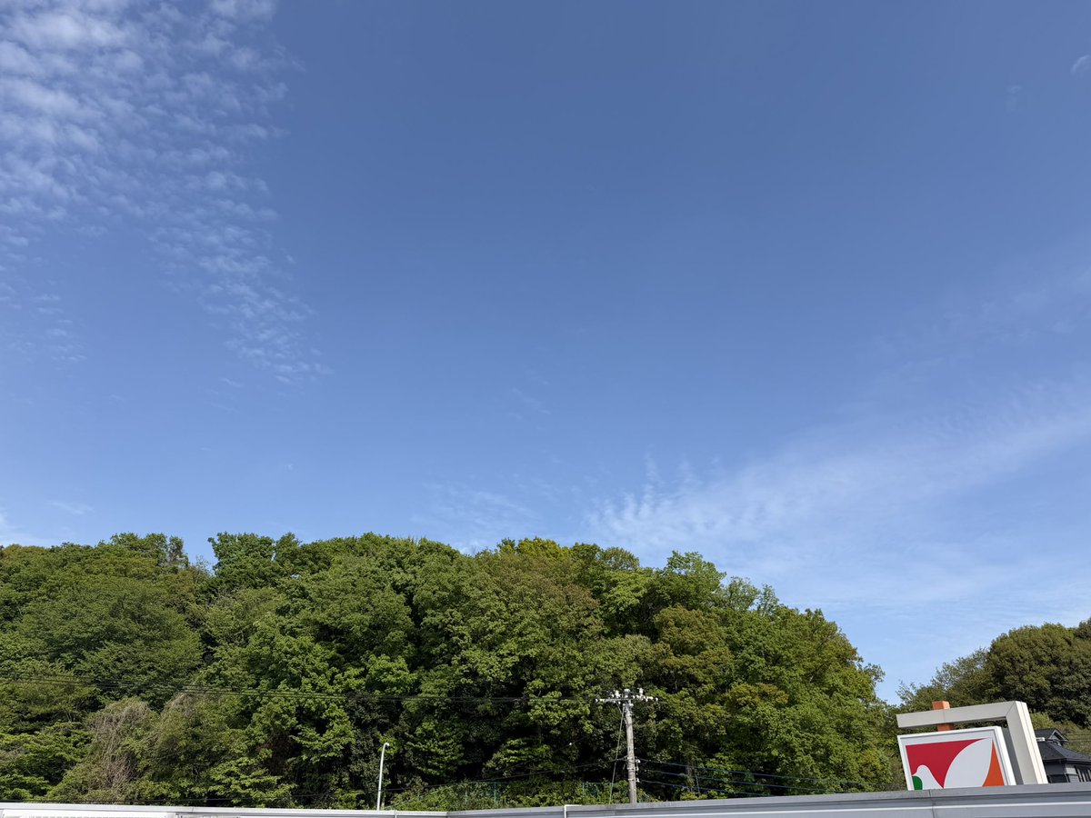 橋本裕也 tweet media