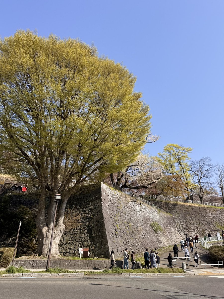 ひむさん tweet media