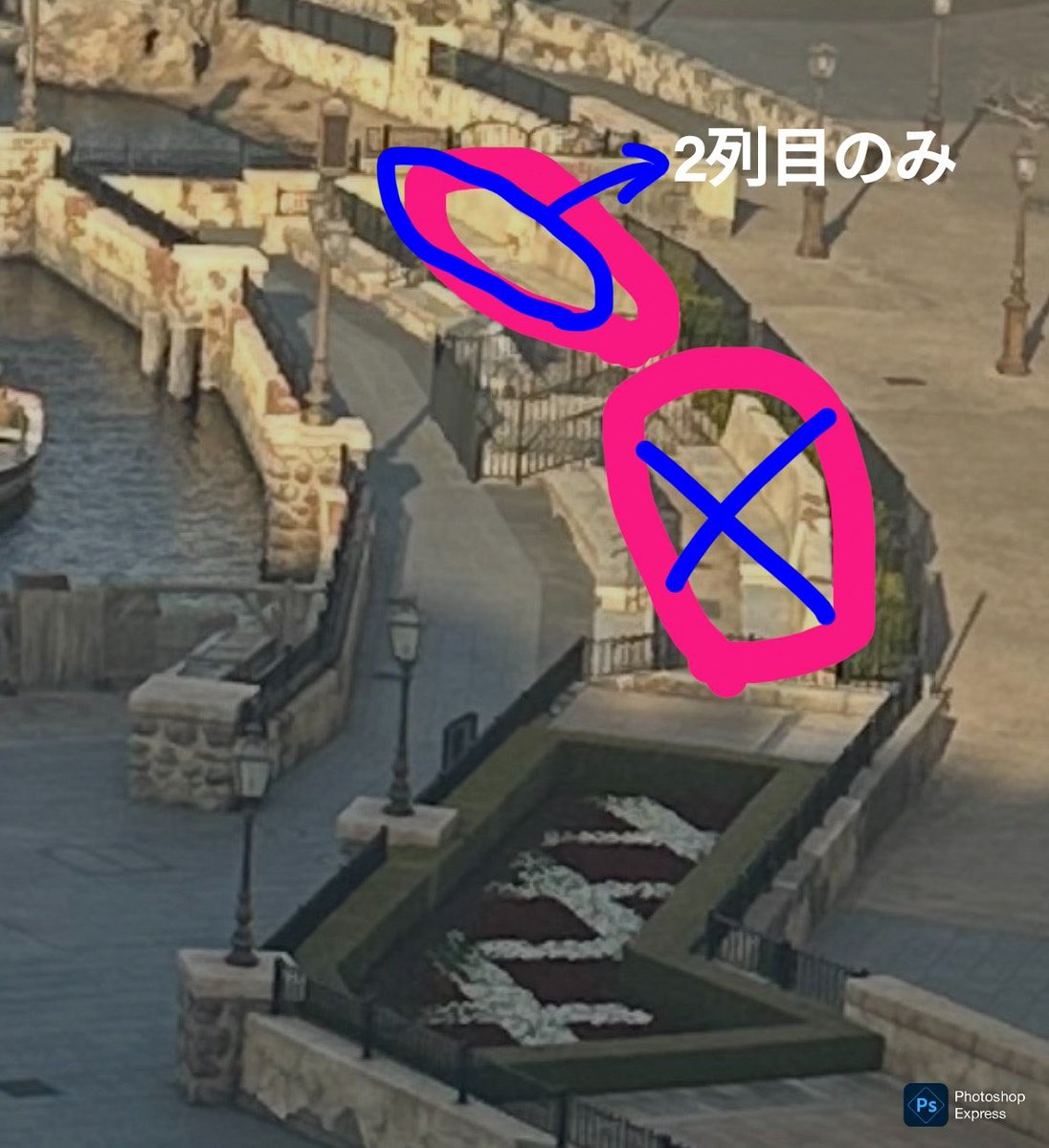 紫織 🐢 tweet media