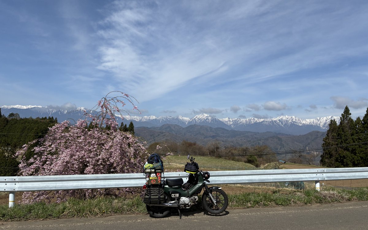 リッキーあんまん tweet media