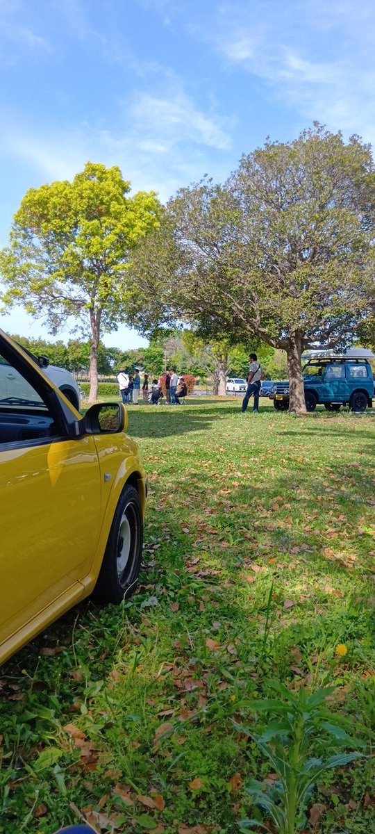 大益  羅 tweet media