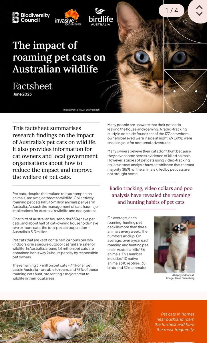 Panggil aja Purbo tweet media