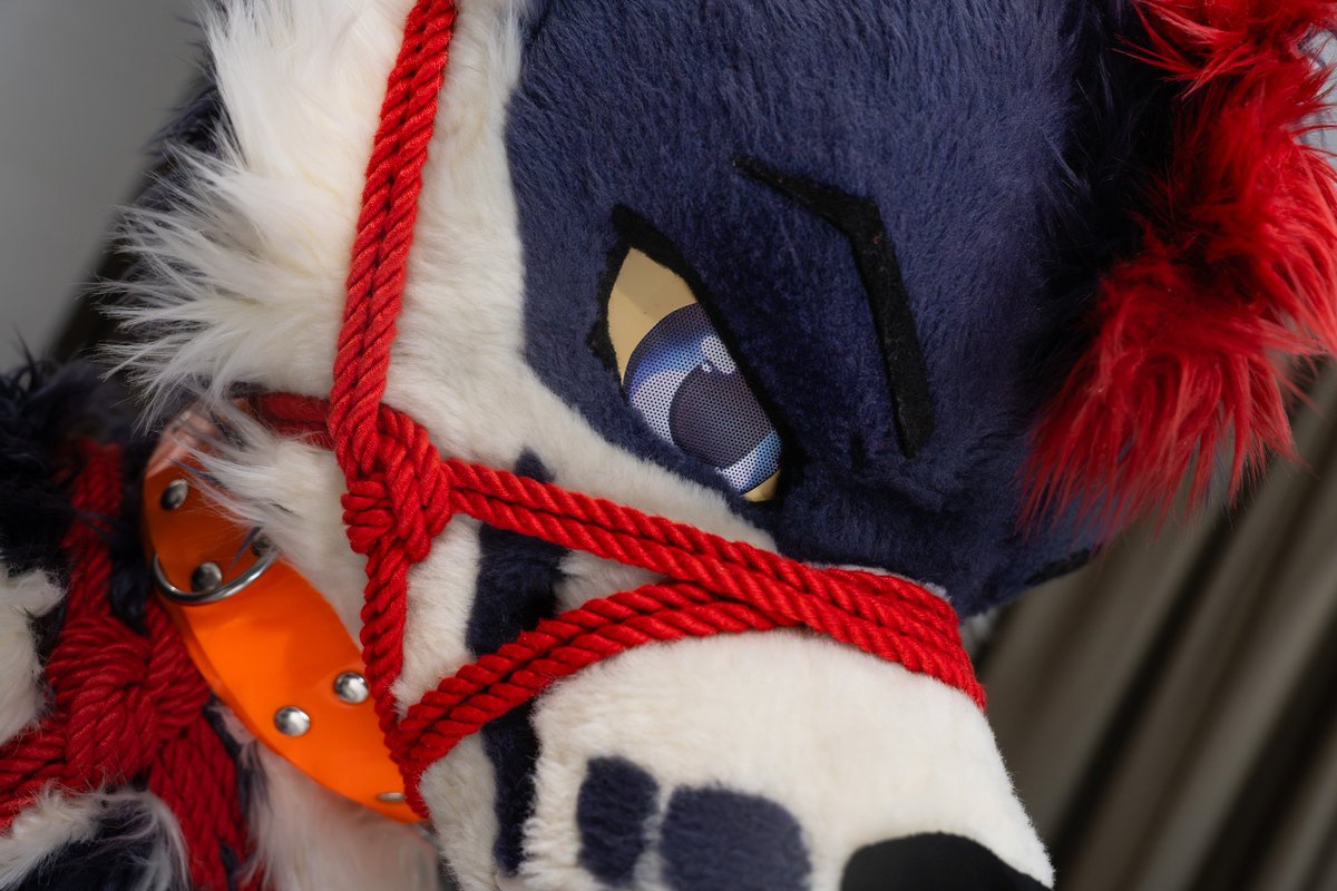 Dode 🔜 ? tweet media