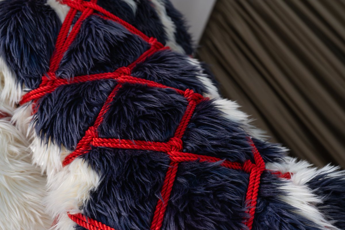 Dode 🔜 ? tweet media