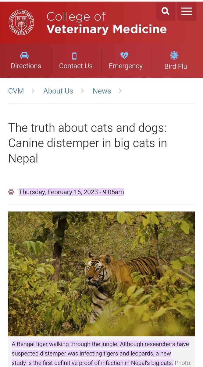 Panggil aja Purbo tweet media