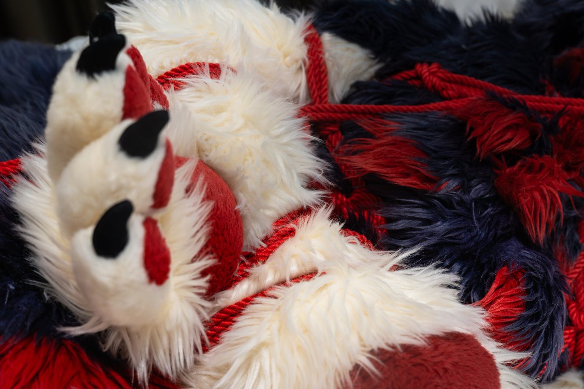 Dode 🔜 ? tweet media