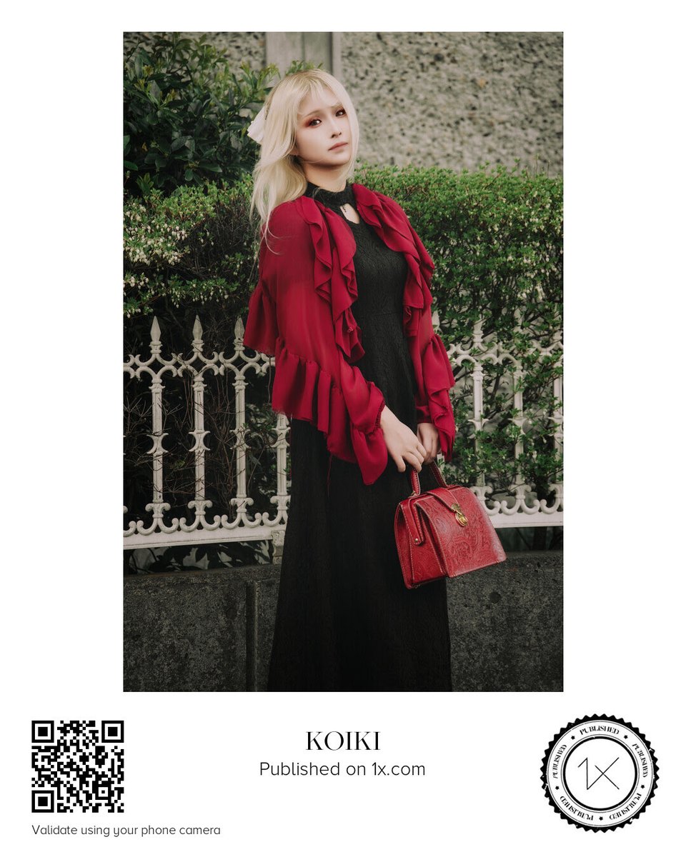 写真作家 小粋 𓃠 栃木ぬこ民 tweet media