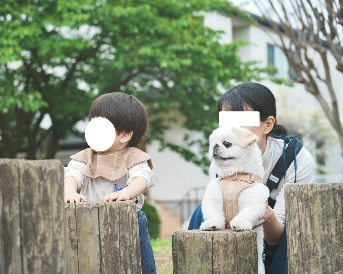 ぬん坊 tweet media