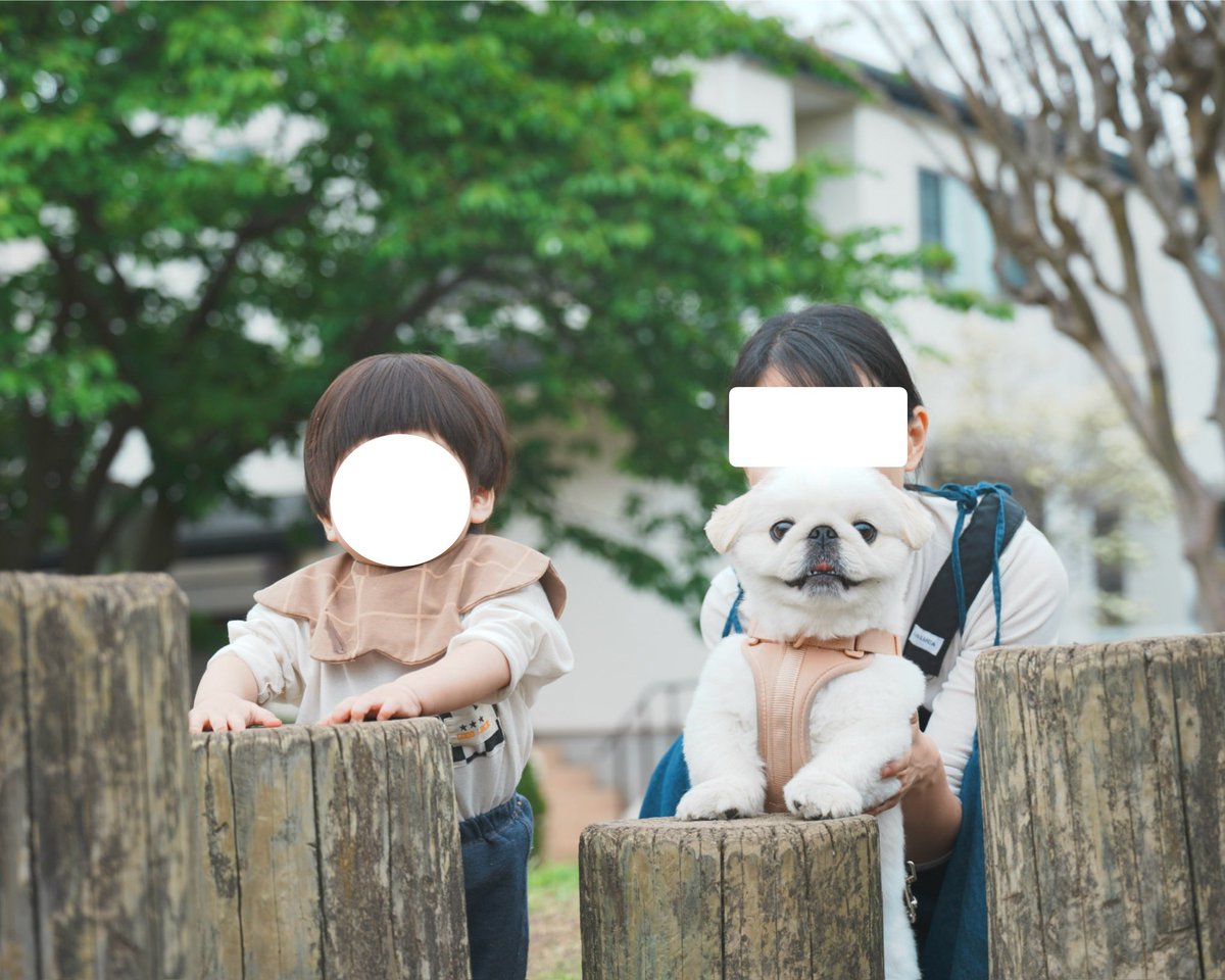 ぬん坊 tweet media