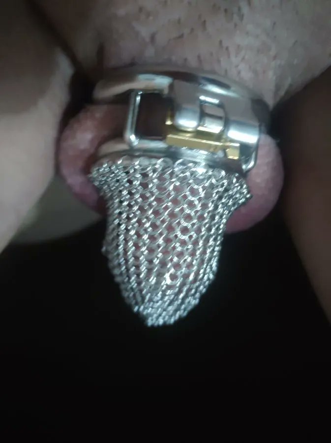 ToyPervert tweet media