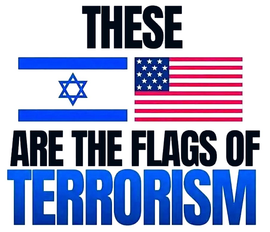 ClaireFella 🏴󠁧󠁢󠁷󠁬󠁳󠁿 🇬🇧 🇺🇦 #NAFO tweet media