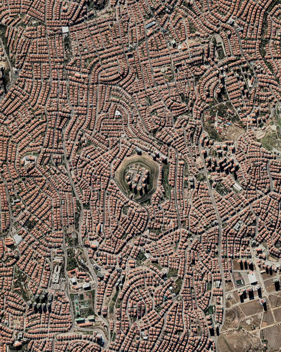 Daily Turkic tweet media