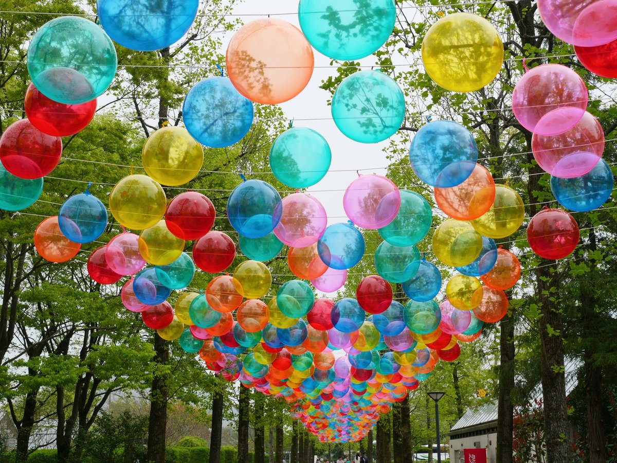 ❄️きんかんなまなま❄️ tweet media