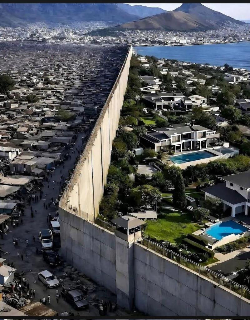 Claudia Witte tweet media