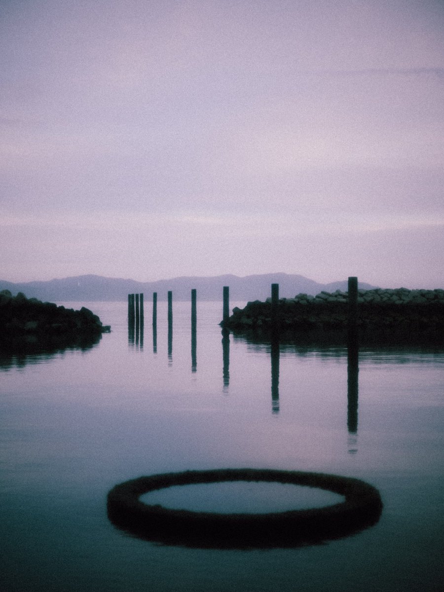 水になりたい。 tweet media