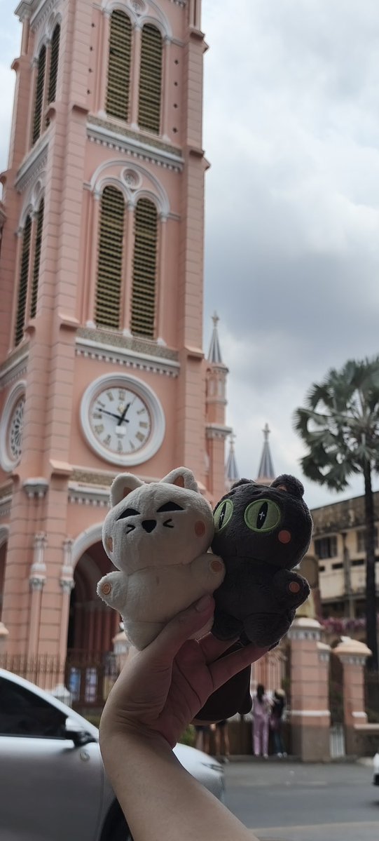 LoveyouApo💛🎄lMileApo🍊🐈🎄 tweet media