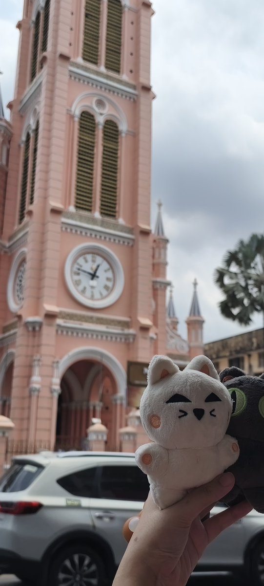 LoveyouApo💛🎄lMileApo🍊🐈🎄 tweet media