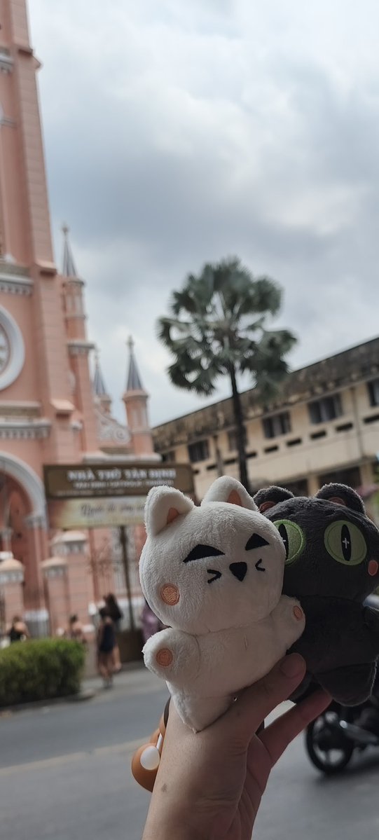 LoveyouApo💛🎄lMileApo🍊🐈🎄 tweet media