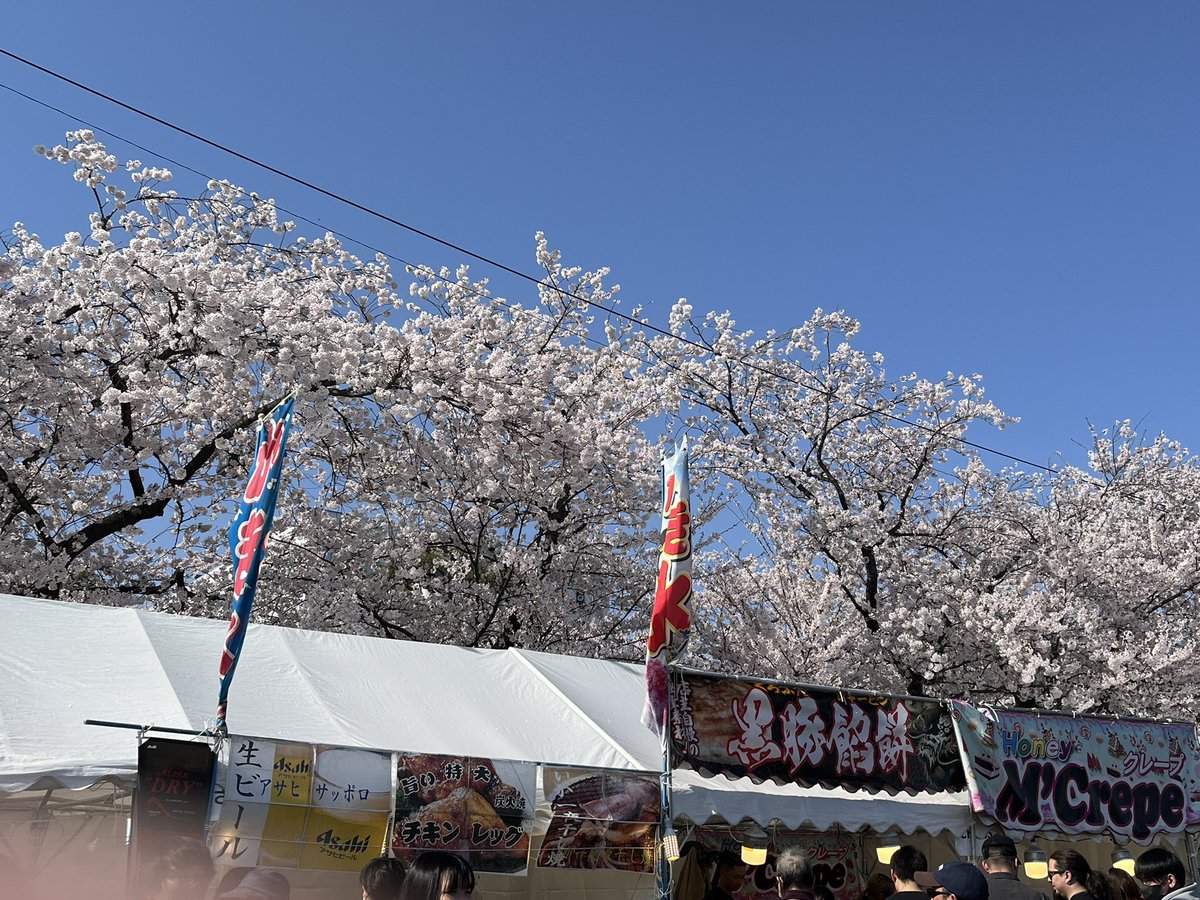 ｺﾝﾎﾞｲ ｻﾄﾙ tweet media