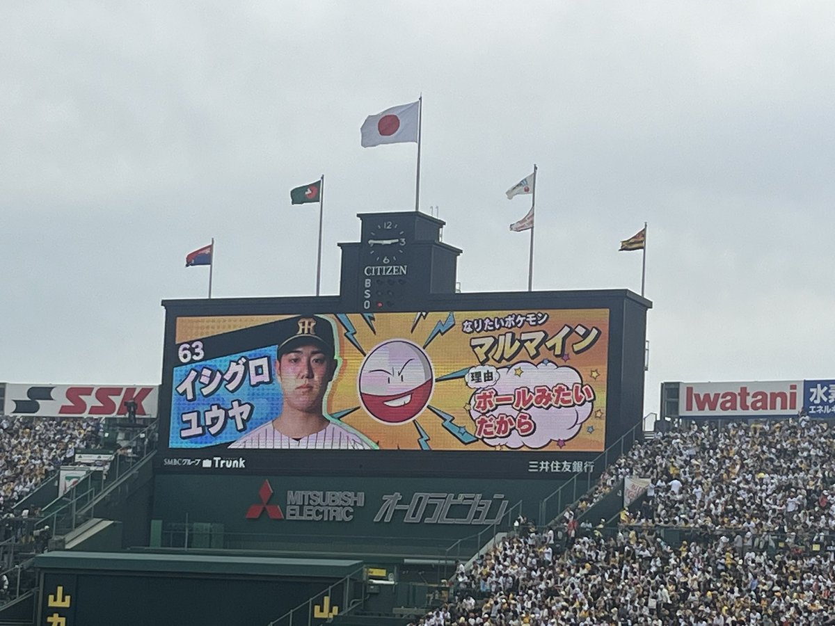 赤味噌 tweet media