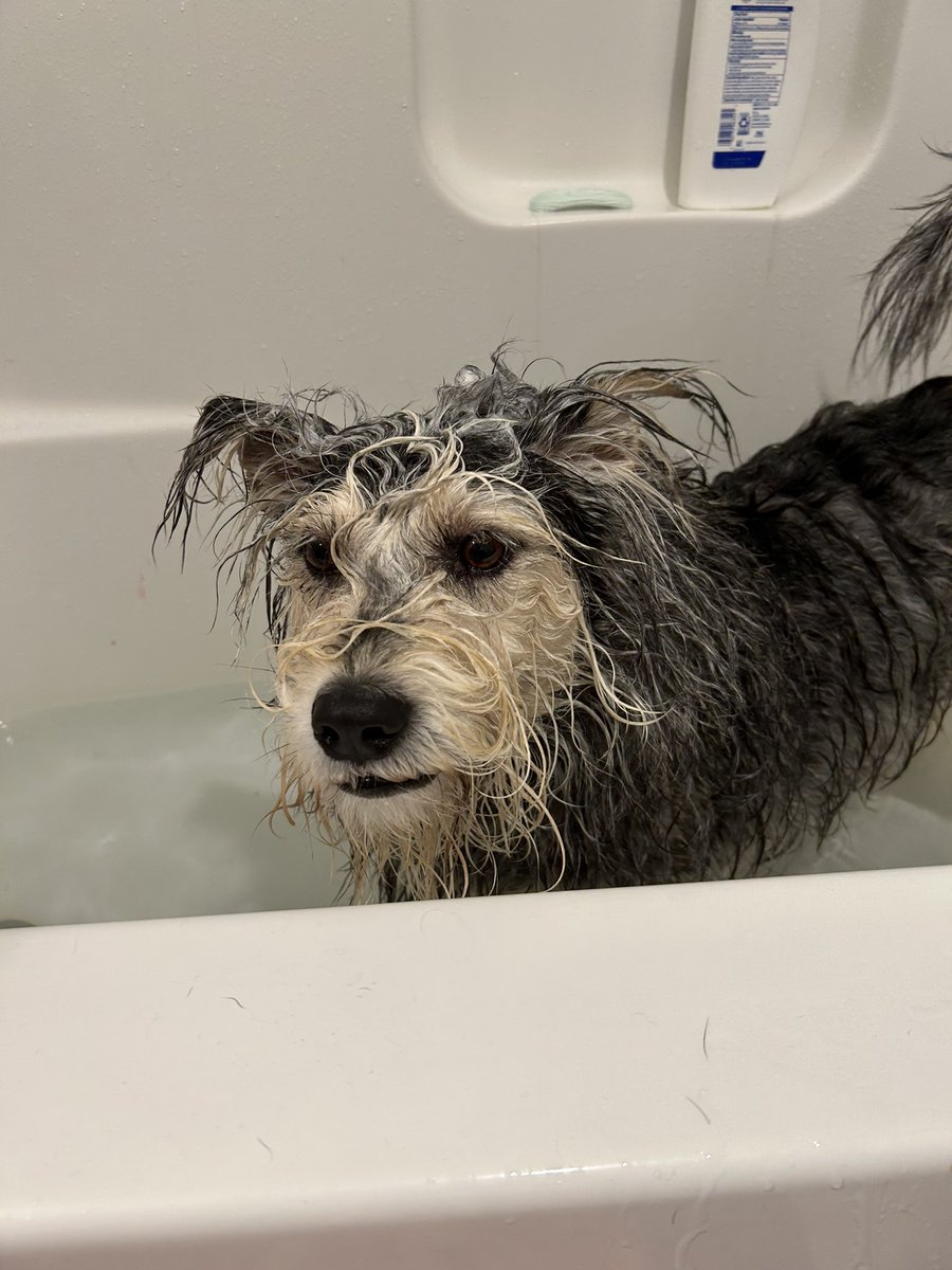 87sbrokenjaw's tweet image. #moist