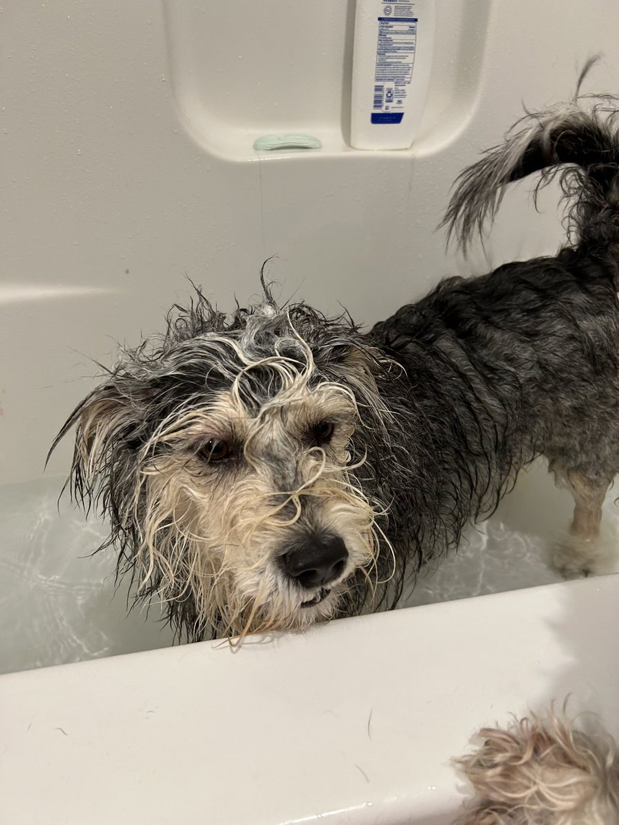 87sbrokenjaw's tweet image. #moist