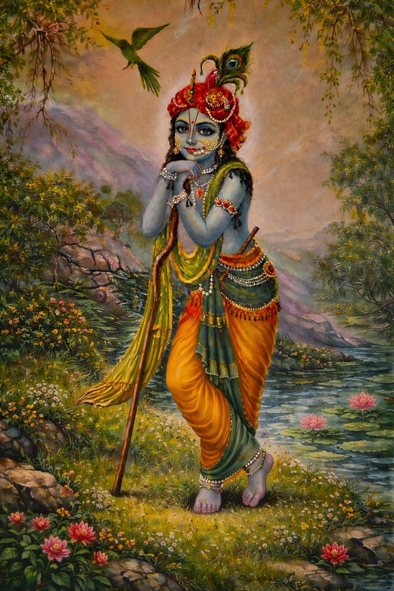 hourly krishna tweet media