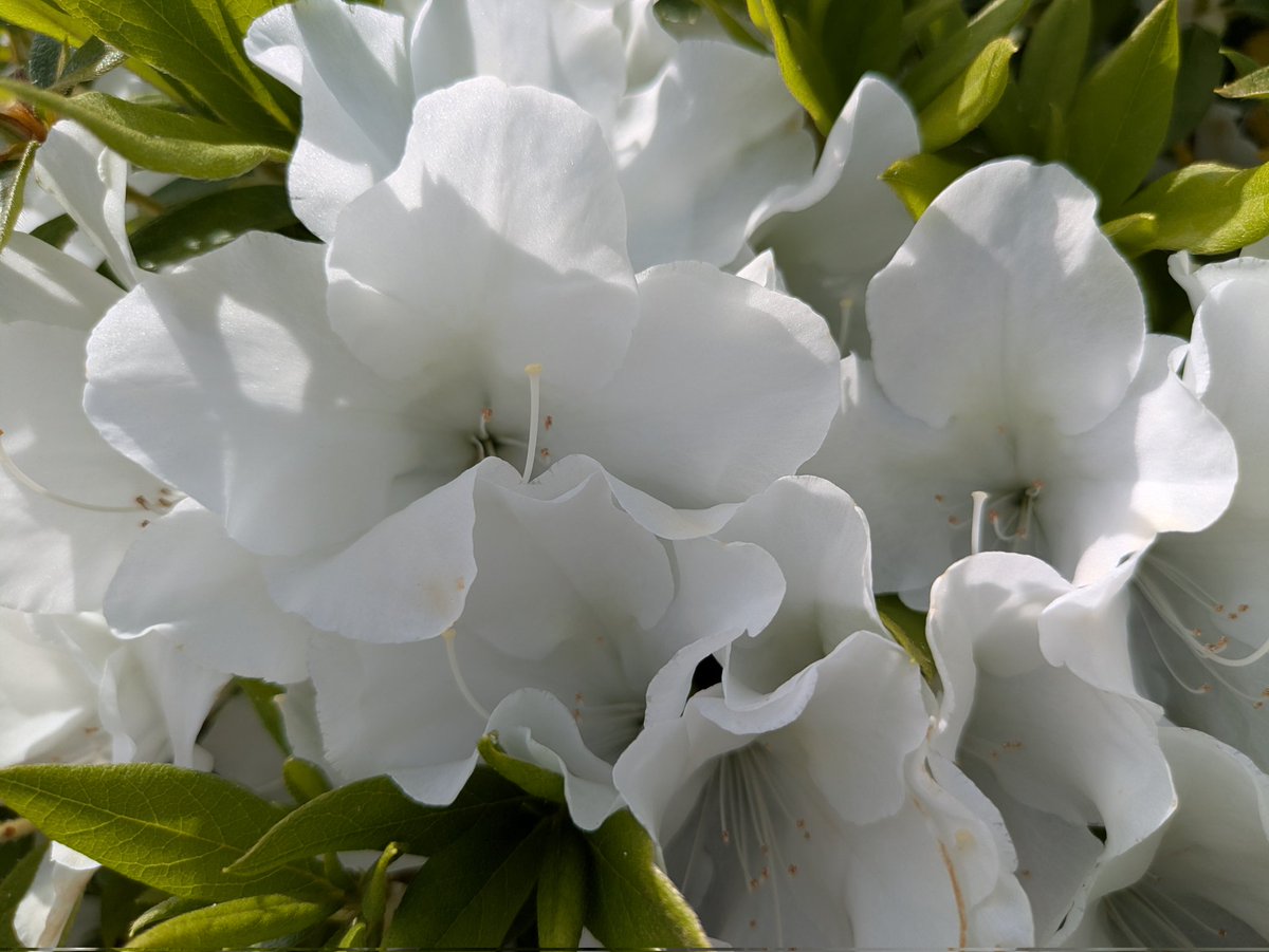 ゆんちゃん🐰🐰🐰 tweet media